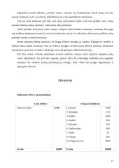 Verslo planas: masažo kabinetas IĮ "JurDia" 17 puslapis