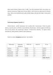 Verslo planas: masažo kabinetas IĮ "JurDia" 18 puslapis