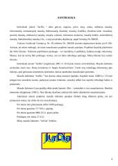 Verslo planas: masažo kabinetas IĮ "JurDia" 4 puslapis