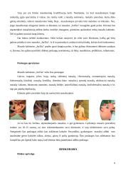 Verslo planas: masažo kabinetas IĮ "JurDia" 6 puslapis