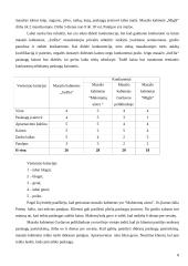 Verslo planas: masažo kabinetas IĮ "JurDia" 8 puslapis