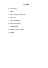 Verslo planas: nekilnojamo turto agentūra "Memelis" 2 puslapis