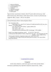 Verslo planas: nekilnojamo turto agentūra "Memelis" 12 puslapis