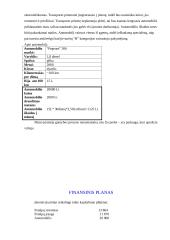 Verslo planas: nekilnojamo turto agentūra "Memelis" 13 puslapis