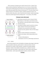 Verslo planas: nekilnojamo turto agentūra "Memelis" 6 puslapis