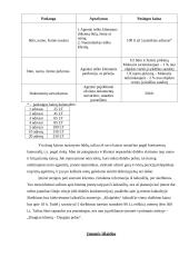 Verslo planas: nekilnojamo turto agentūra "Memelis" 7 puslapis