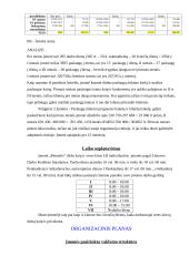 Verslo planas: nekilnojamo turto agentūra "Memelis" 10 puslapis