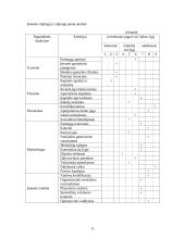 Verslo planas: tarptautiniai vežimai UAB "Vakarai" 11 puslapis