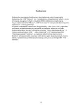 Verslo planas: tarptautiniai vežimai UAB "Vakarai" 13 puslapis