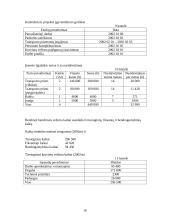 Verslo planas: tarptautiniai vežimai UAB "Vakarai" 16 puslapis