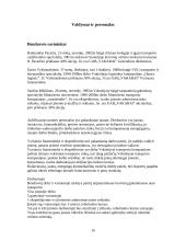 Verslo planas: tarptautiniai vežimai UAB "Vakarai" 19 puslapis