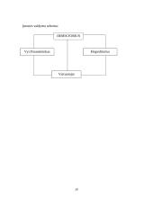 Verslo planas: tarptautiniai vežimai UAB "Vakarai" 20 puslapis