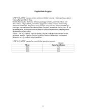 Verslo planas: tarptautiniai vežimai UAB "Vakarai" 6 puslapis