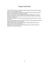 Verslo planas: tarptautiniai vežimai UAB "Vakarai" 8 puslapis