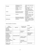 Verslo planas: tarptautiniai vežimai UAB "Vakarai" 10 puslapis