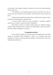 Viešbutis. Motelis 8 puslapis