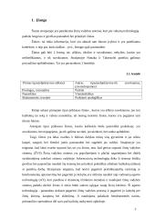 Žinių vadybos sistemos su agento technologija pritaikymas sprendimų priėmimo palaikymui bendradarbiaujančio mokymosi aplinkoje 3 puslapis