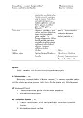 Geografijos pamokos planas: "Ukraina – bundantis Europos milžinas" 5 puslapis