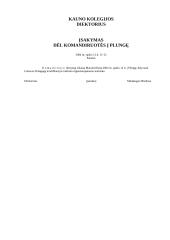 Įmonių veiklos dokumentai 4 puslapis