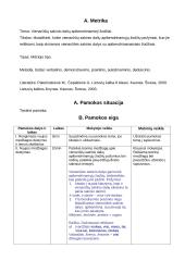 Pamokos planas - Vienarūšių sakinio dalių apibendrinamieji žodžiai