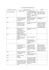 Pamokų stebėjimas Vilniaus Simono Daukanto vidurinėje mokykloje 3 puslapis