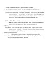 Renginio scenarijus: Šauniausios klasės rinkimai 3 puslapis