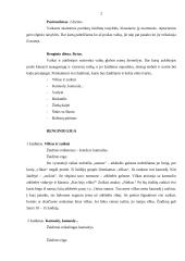 Renginio scenarijus: tradiciniai žaidimai 2 puslapis