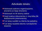 Advokatės profesija 6 puslapis