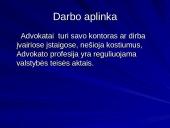 Advokatės profesija 9 puslapis