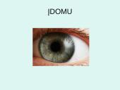 Akys ir akiniai 19 puslapis