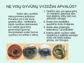 Akys ir akiniai 20 puslapis