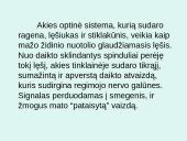 Akys ir akiniai 3 puslapis