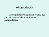 Akys ir akiniai 4 puslapis