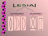 Akis kaip optinė sistema 2 puslapis