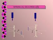 Akis kaip optinė sistema 3 puslapis