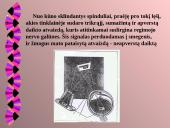 Akis kaip optinė sistema 5 puslapis