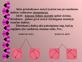 Akis kaip optinė sistema 6 puslapis