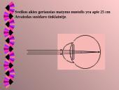 Akis kaip optinė sistema 7 puslapis