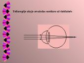 Akis kaip optinė sistema 9 puslapis