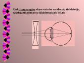 Akis kaip optinė sistema 10 puslapis