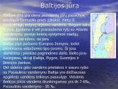 Aktualiausios Baltijos jūros aplinkos problemos 2 puslapis