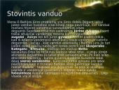 Aktualiausios Baltijos jūros aplinkos problemos 15 puslapis