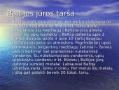 Aktualiausios Baltijos jūros aplinkos problemos 3 puslapis