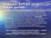 Aktualiausios Baltijos jūros aplinkos problemos 4 puslapis