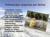 Amerikiečių šeima 3 puslapis