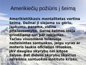 Amerikiečių šeima 4 puslapis