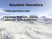 Amerikiečių šeima 10 puslapis