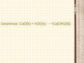 Anglies karbonatas 11 puslapis