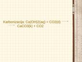 Anglies karbonatas 12 puslapis
