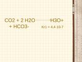 Anglies karbonatas 14 puslapis
